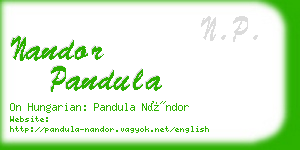 nandor pandula business card